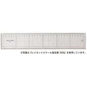 レイカットスケール直定規 40cm 840S