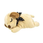 ネムリエール [子犬 ミニチュア・ダックスフンド M]