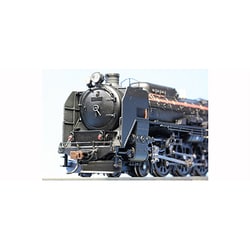 ヨドバシ.com - 天賞堂 TENSHODO HOゲージ 71013 [C62系 3号機