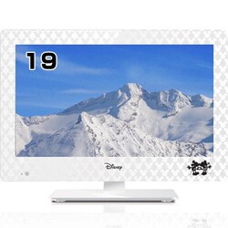 楽天市場】ディズニー 液晶テレビ ミッキー&ミニー 19インチDVD