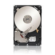 Constellation ES.3シリーズ 3.5インチ内蔵ハードディスク 容量2TB SATA-6Gb/s 回転数7200rpm キャッシュ128MB ST2000NM0033