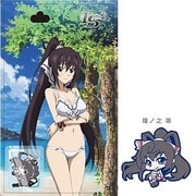IS〈インフィニット・ストラトス〉2 おみや便り 篠ノ之箒