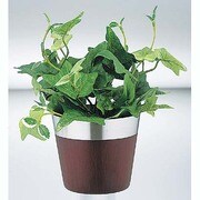 ガーデニング用品 スプールウッド プラントポット ラウンド 10