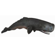 88391 [Collecta マッコウクジラ]