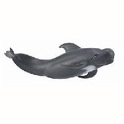 88613 [Collecta ゴンドウクジラ]