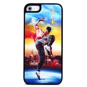 3DプラスチックケースiPhone5 カンフー