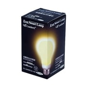 LED電球 E26口金 電球色 490lm ES-600WE26-AO