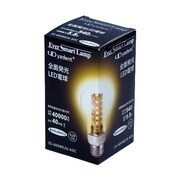 LED電球 E26口金 電球色 540lm クリア ES-600WE26-AOC