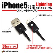 Lightningケーブル iPhone5対応USB充電・通信ケーブル ブラック 30cm RBHE138