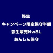 キャンペーン限定保守半額弥生販売Nw5Lあんしん保守 [ライセンスソフト]