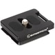DP-39 UnIversal QR Plate 39mm SF0054