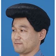 リーゼントかつら ハマの番長(黒) [コスプレグッズ]