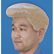 リーゼントかつら ハマの番長(金) [コスプレグッズ]