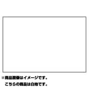 ガイドの旗・世界に一つだけの旗 [パーティーグッズ]