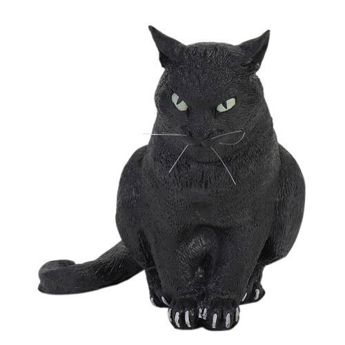 黒ネコ