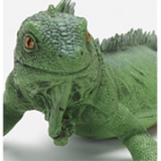 メガトカゲ