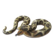 ニシキヘビ