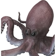 オクトパス