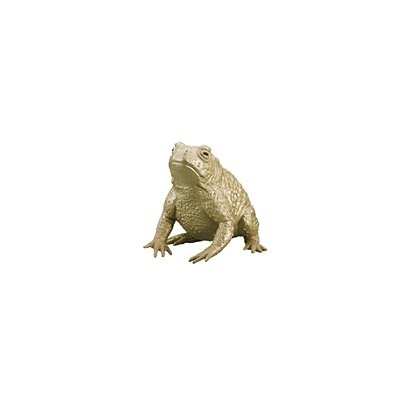 金のカエル