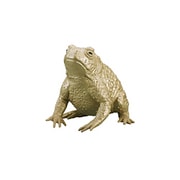 金のカエル