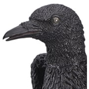 メガシリーズ カラス