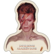 CADステッカー DAVID BOWIE /ALADDIN STICKER CAD-009