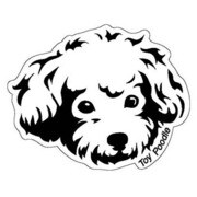 ステッカー DOUBUTHU FACE /TOY POODLE 2 DF-18