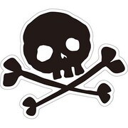 防水ステッカー オイルショックデザインズ Flappy Skull OSS-015