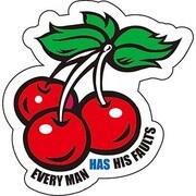 コトワザステッカー 誰にも欠点はあるもの EVERYMAN HAS HIS FAULTS 防水加工 PS-084