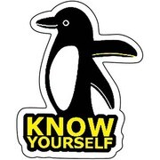 コトワザステッカー 身の程を知れ KNOW YOURSELF 防水加工 PS-086