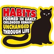 コトワザステッカー 三つ子の魂百まで HABITS FORMED IN EARLY CHILDHOOD… 防水加工 PS-109
