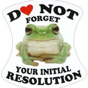 ことわざステッカー FROG PROVERB DECALS/DO NOT FORGET YOUR INITIAL RESOLUTION PS-197
