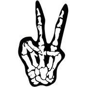 USステッカー BORN PEACE US-148
