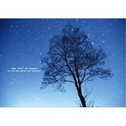 ポストカード Full of stars J066