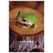 ポストカード Frog J131