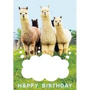 ポストカード HAPPY BIRTHDAY J184