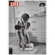 ポストカード LIFE/Zippy Standing on a Scale J239