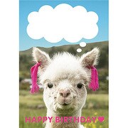 ポストカード HAPPY BIRTHDAY J241