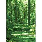 ポストカード 旅するポストカード-熊野古道/日本 J252