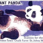 輸入Kポストカード Giant Panda K348