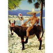 輸入ポストカード DONKEY R121