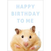 Jポストカード HAPPY BIRTHDAY J275