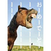 Jポストカード CONGRATULATIONS J278