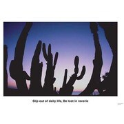 AP016 [APポスター Cactus]