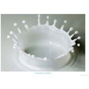 AP028 [APポスター Milkcrown]