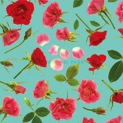 AP055 [APポスター Roses]