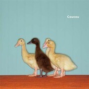 AP058 [APポスター Ducks]
