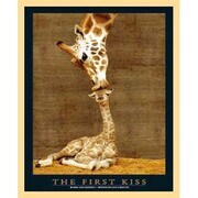 FST-141 [ミニポスター×フレームセット THE FIRST KISS ナチュラル]