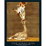 輸入ミニポスター MP213 [THE FIRST KISS]