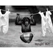 輸入ミニポスター MP250 HANGIN' OUT